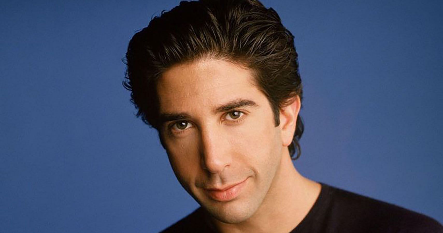 David Schwimmer played Ross Geller in Friends (Image via TheThings)
