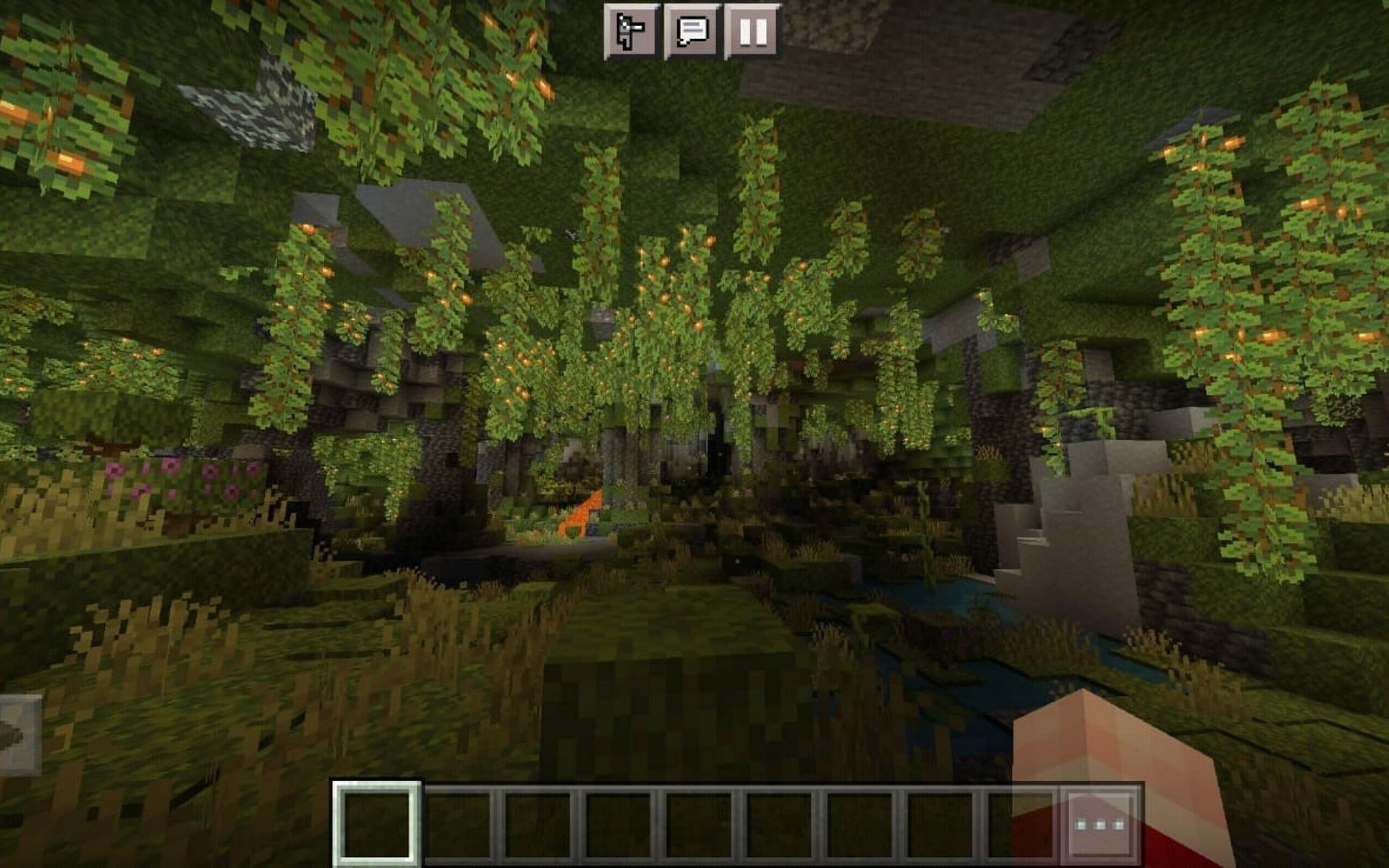 Lush Caves Biome (Image via Minecraft)