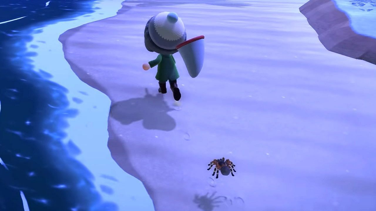 Tarantulas are dangerous but worth a lot of bells (Image via Nintendo)