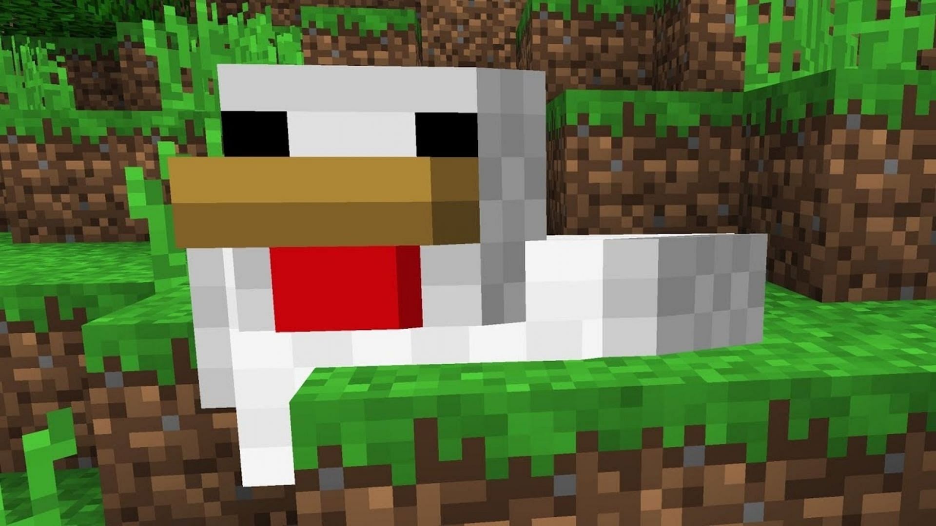 A chicken clips into a nearby grass block (Image via Mojang)