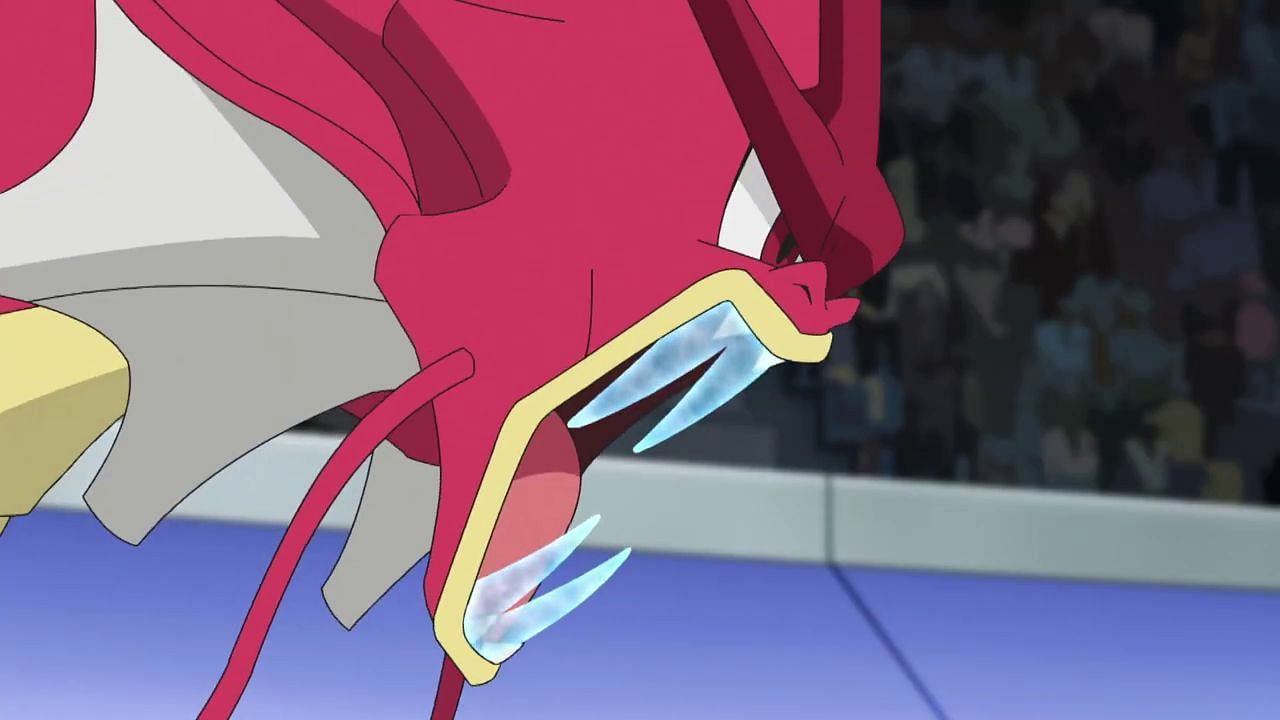 Gyarados readying Ice Fang in the anime (Image via The Pokemon Company)