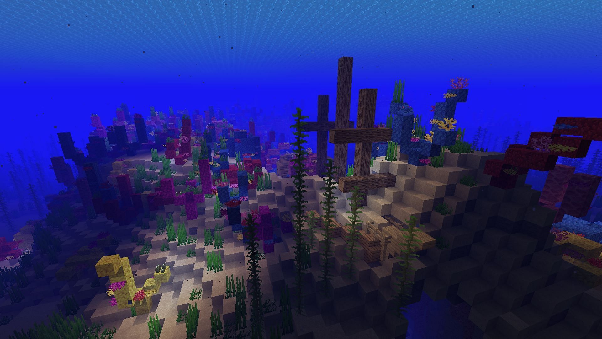 Corals (Image via Minecraft)