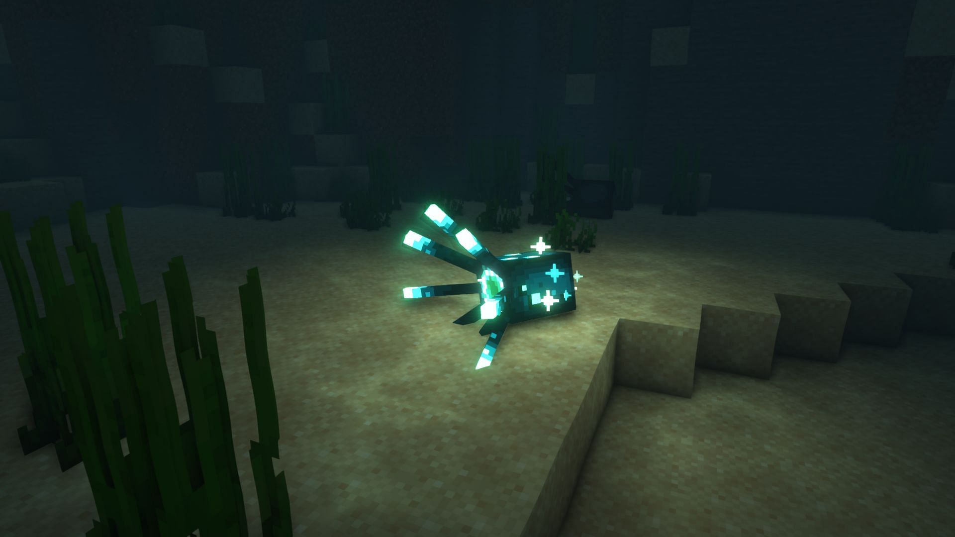 La ubicación de generación de los calamares luminosos ha cambiado (Imagen a través de Minecraft)