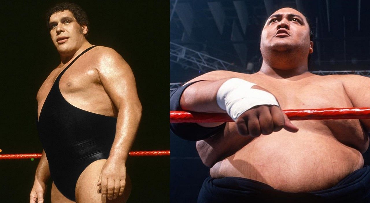 andre the giant vs giant gonzalez