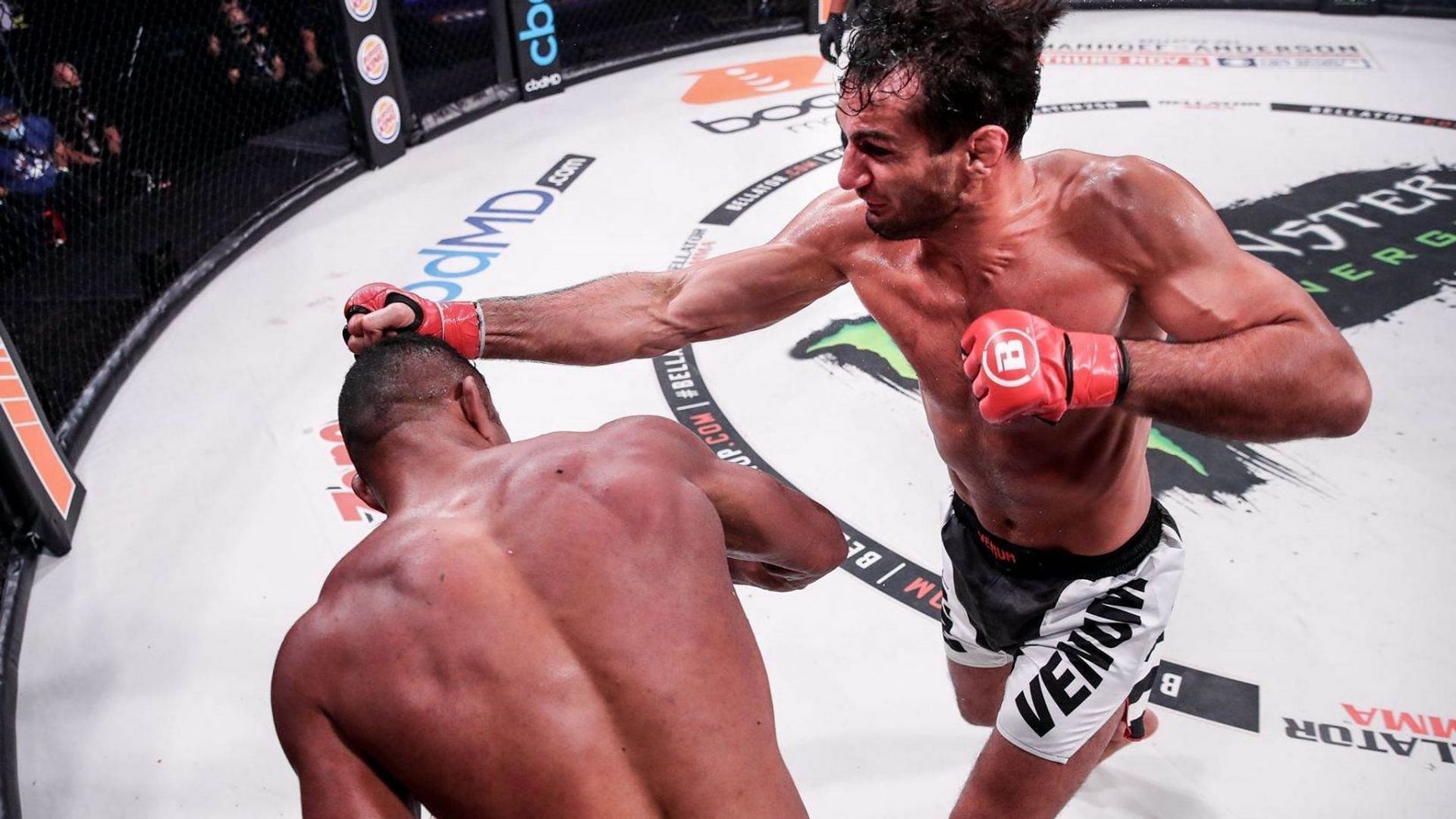 Gegard Mousasi left the UFC on a win streak and is still ranked as one of the world's best middleweights