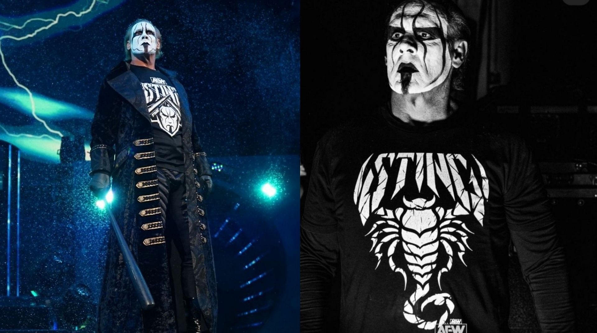 Sting is a former WCW Champion!