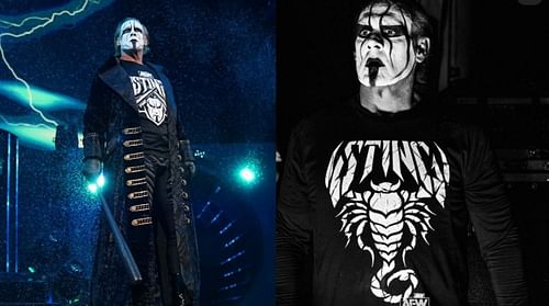 Sting is a former WCW Champion!