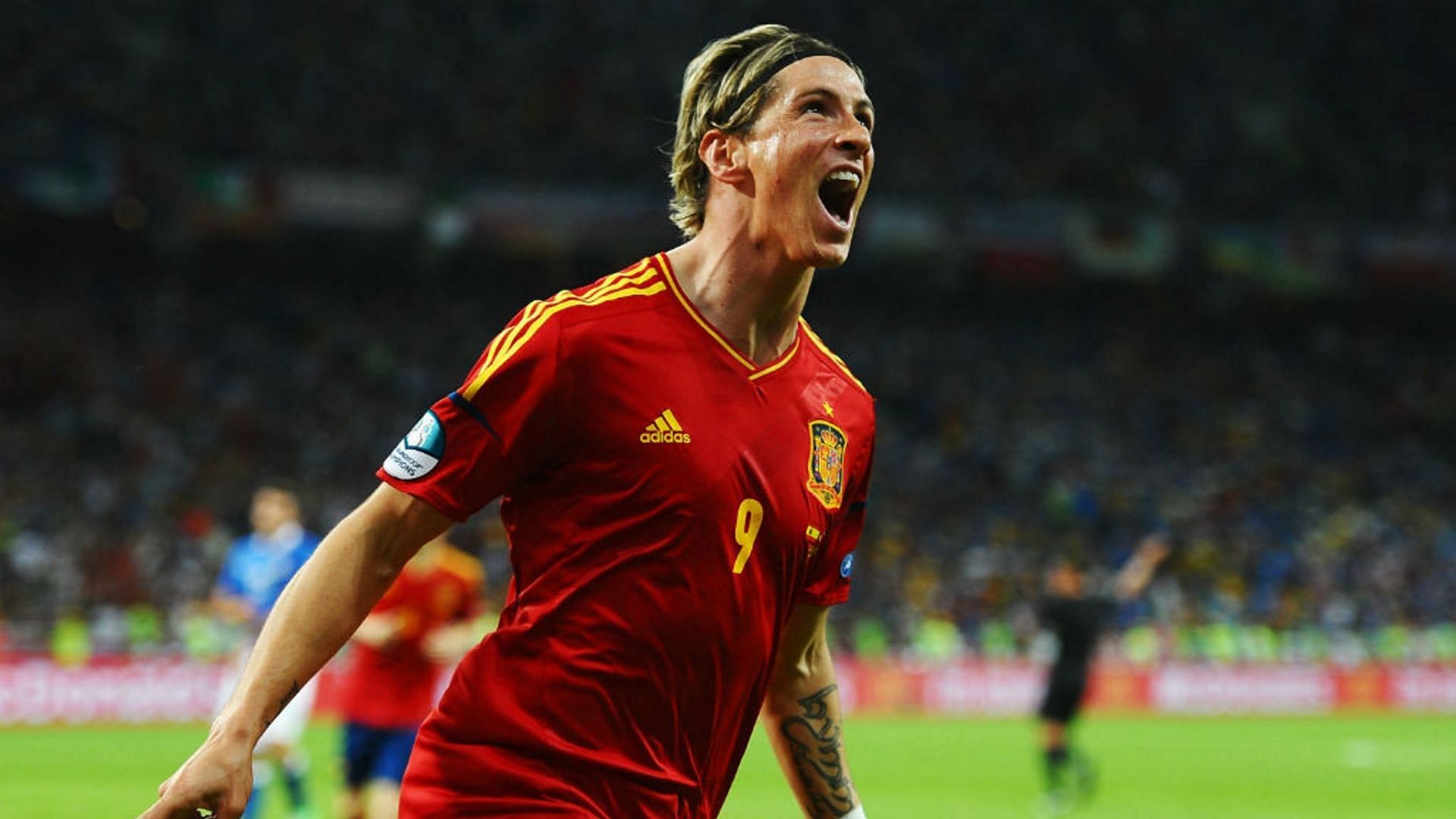 Fernando Torres scored some crucial goals in Spain&#039;s history.