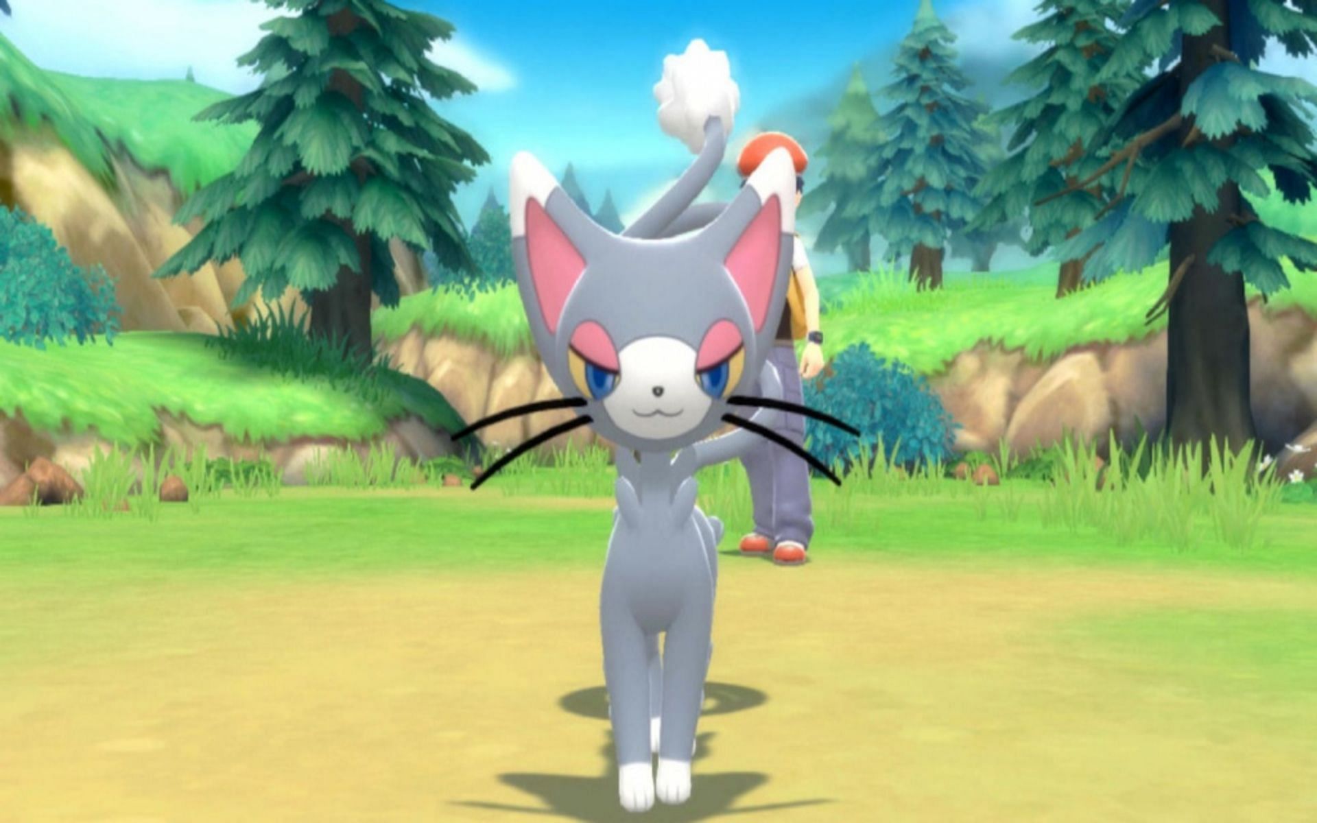Glameow can be found in two Routes in Sinnoh (Image via The Pokemon Company)