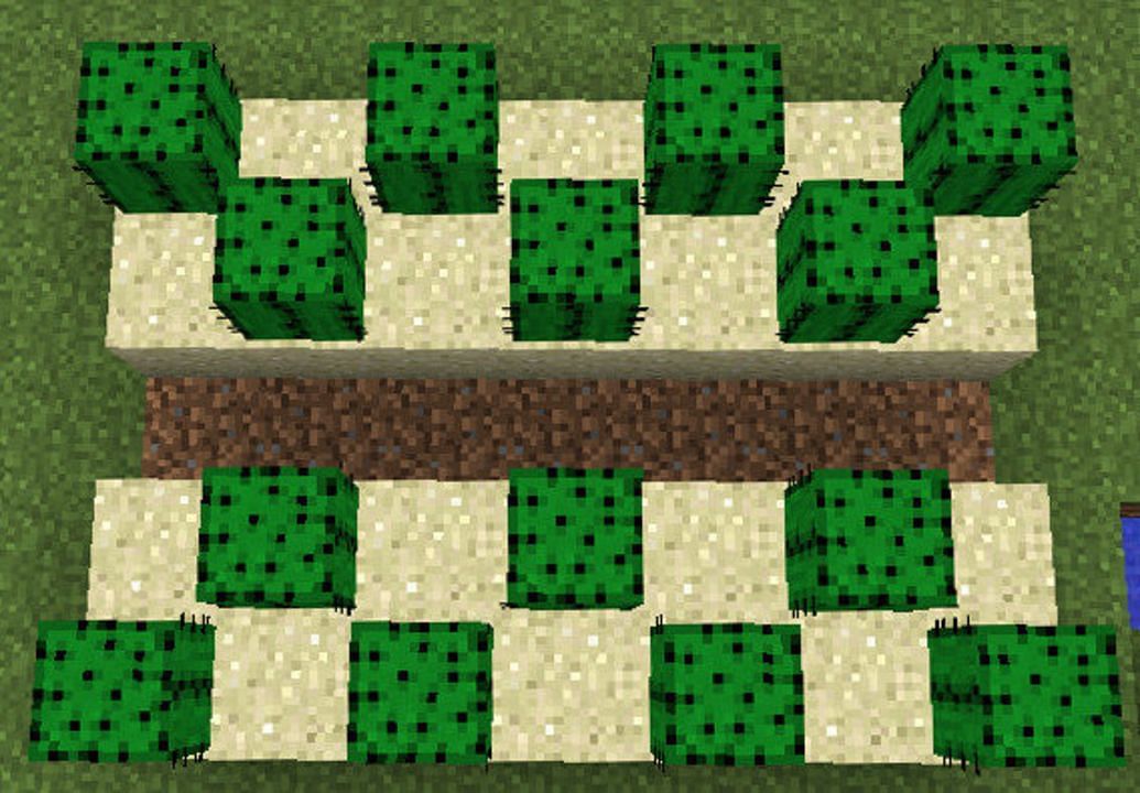 A basic manual cactus farm which keeps players from being damaged (Image via Mojang)