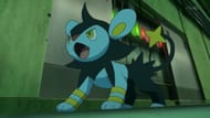 Luxio in the anime (Image via The Pokemon Company)