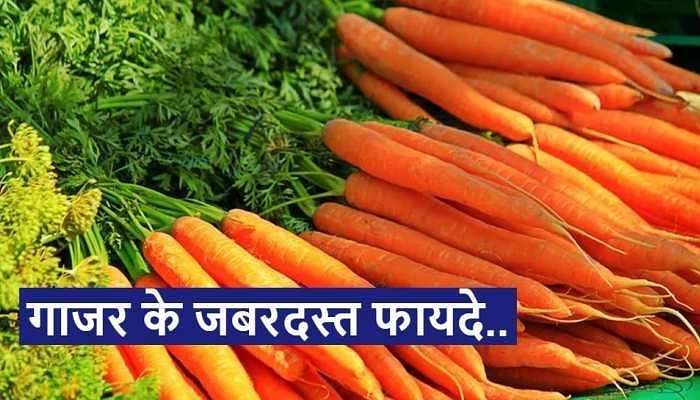 गाजर के फायदे (फोटो - zee news)