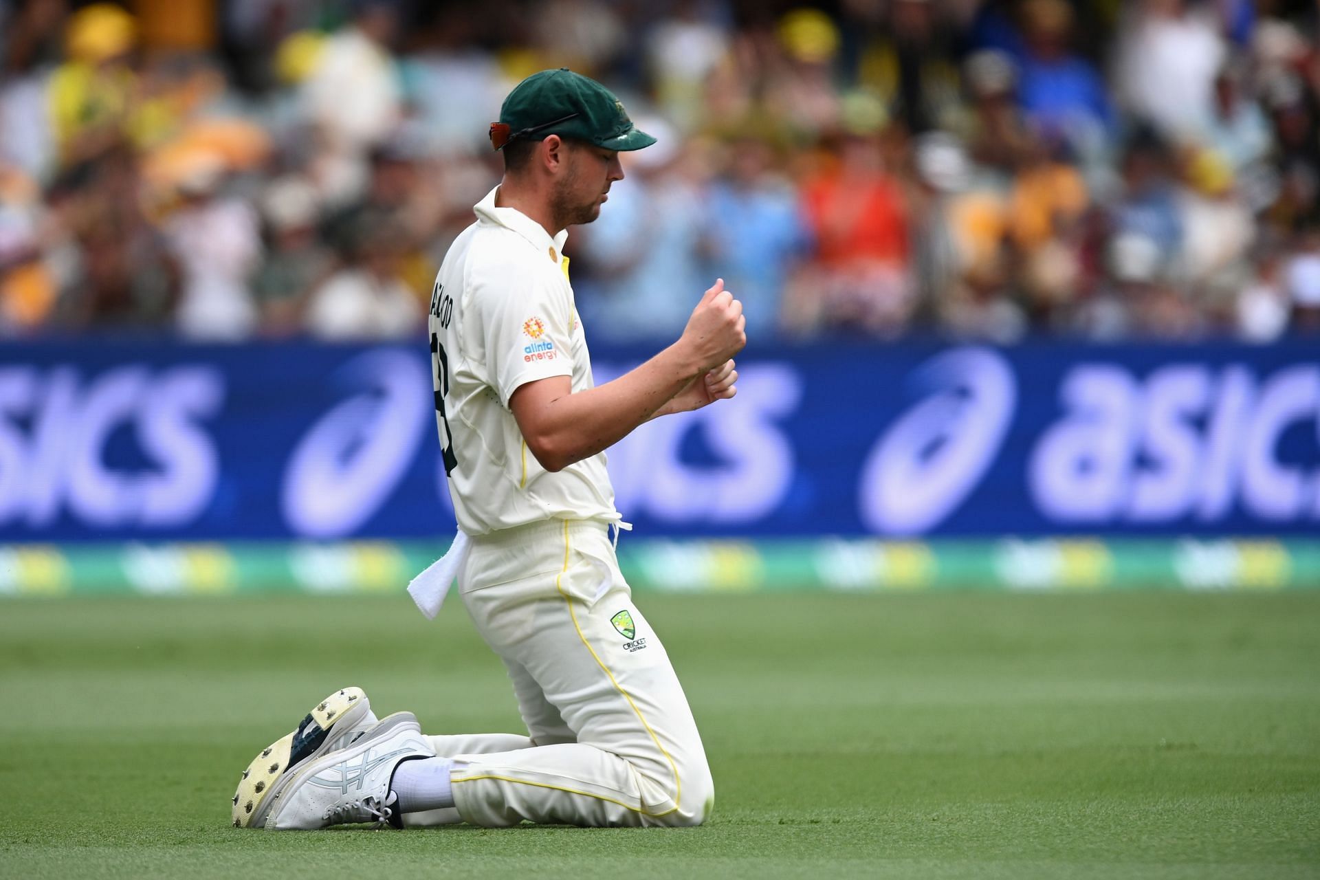 Ashes 2021: [Watch] Josh Hazlewood Takes A Composed Low Catch In The ...