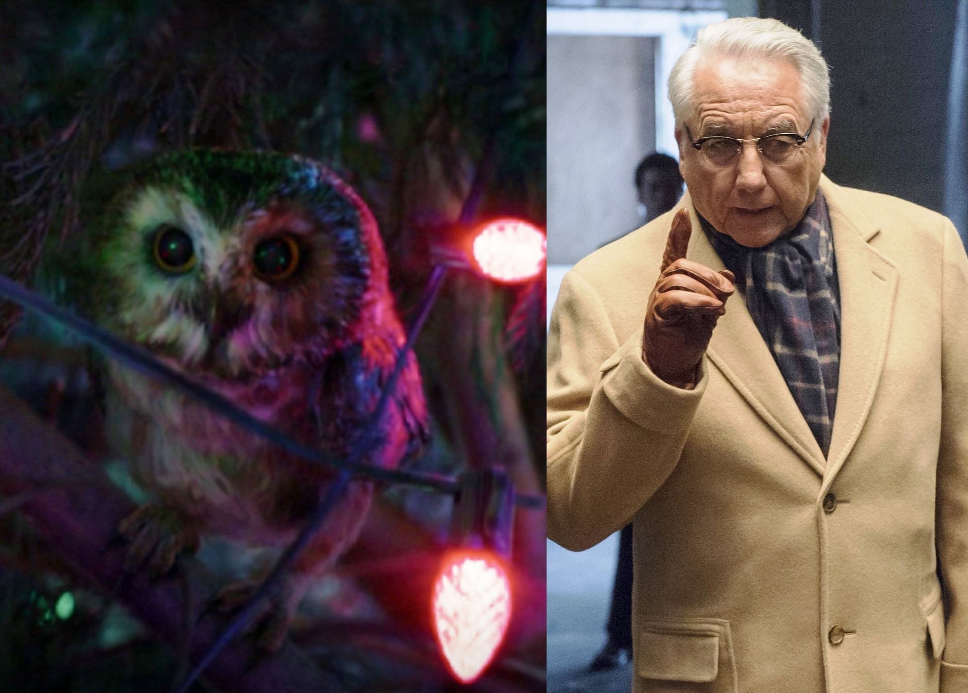 The owl in Hawkeye and Leland Owlsley in Daredevil (Image via Marvel Studios and Netflix)