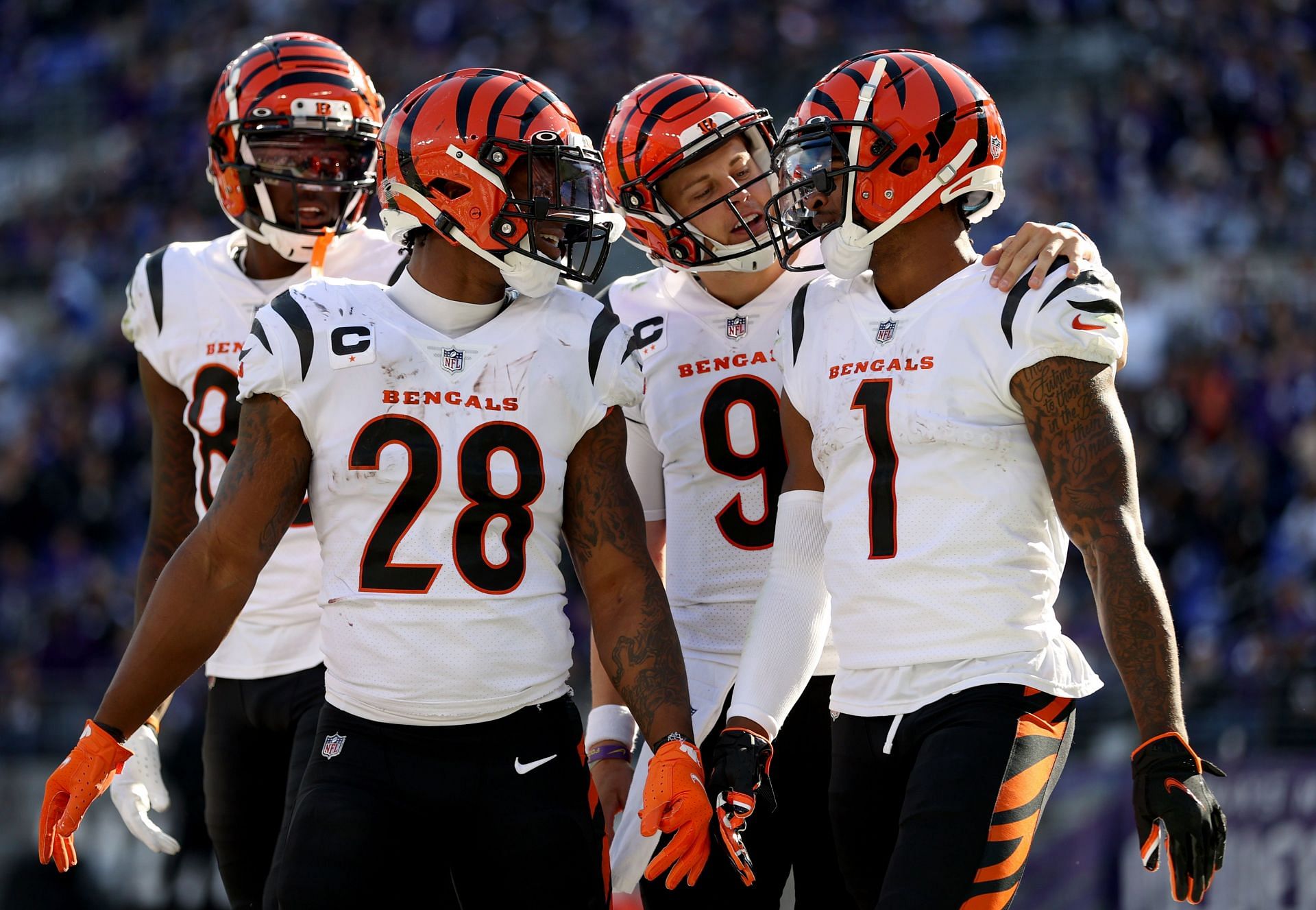 Cincinnati Bengals v Baltimore Ravens