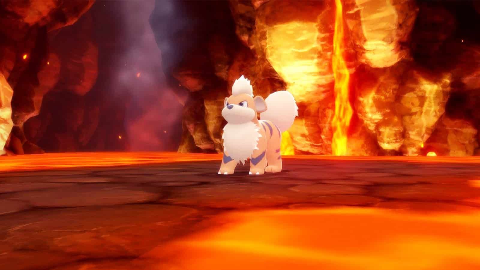 Growlithe in BDSP (Image via ILCA)