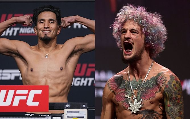 Sean O'Malley believes a win over Raulian Paiva at UFC 269 leads to a fight against Adrian Yanez