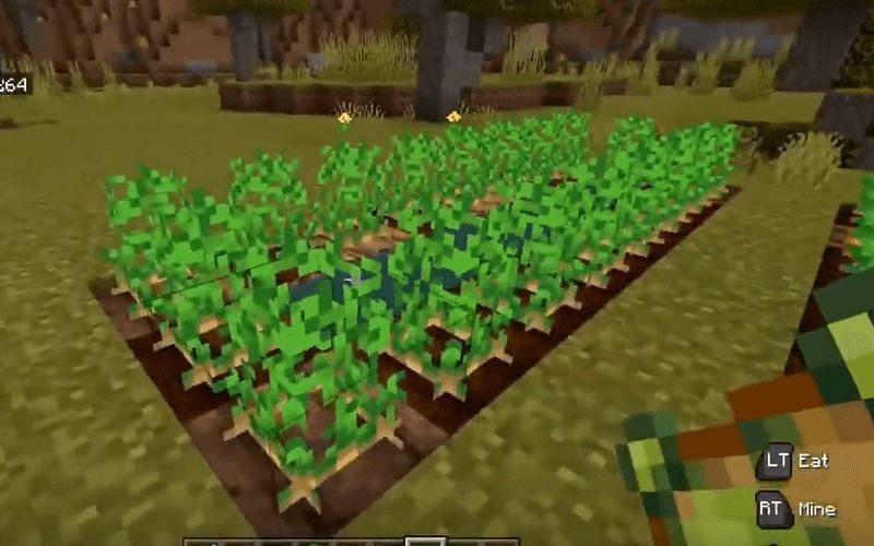 Potatoes can be baked into a great food source (Image via Minecraft)