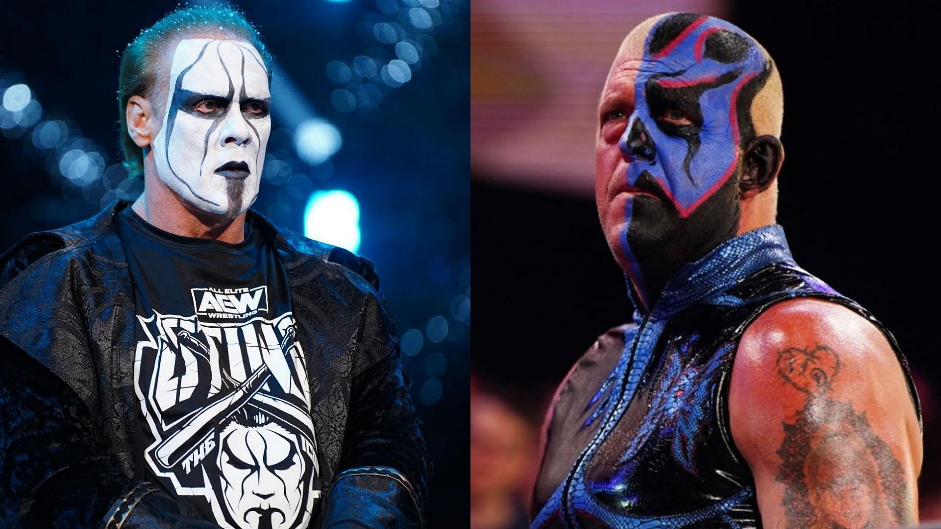 Sting and Dustin Rhodes are veterans in AEW
