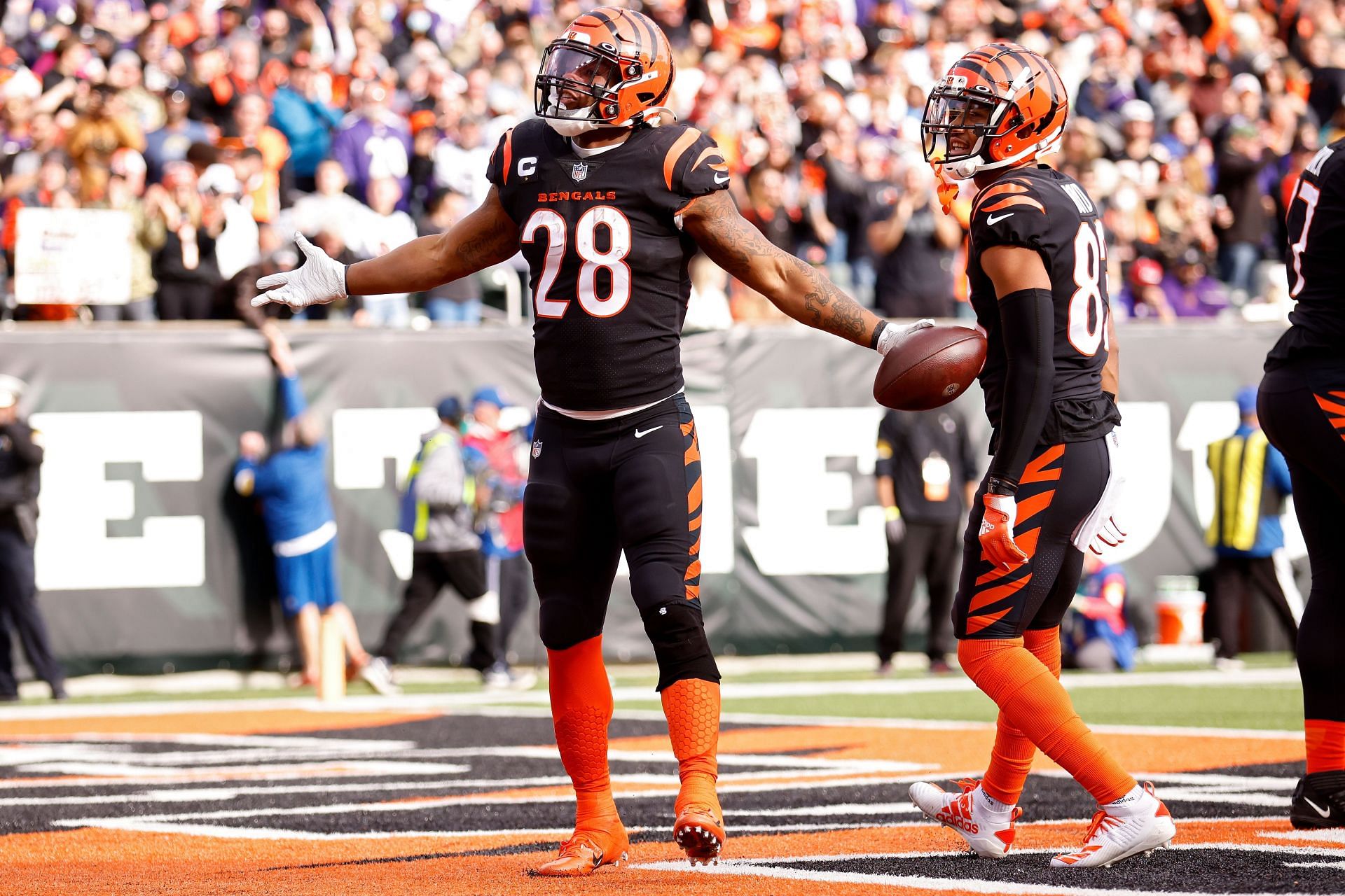 Baltimore Ravens v Cincinnati Bengals