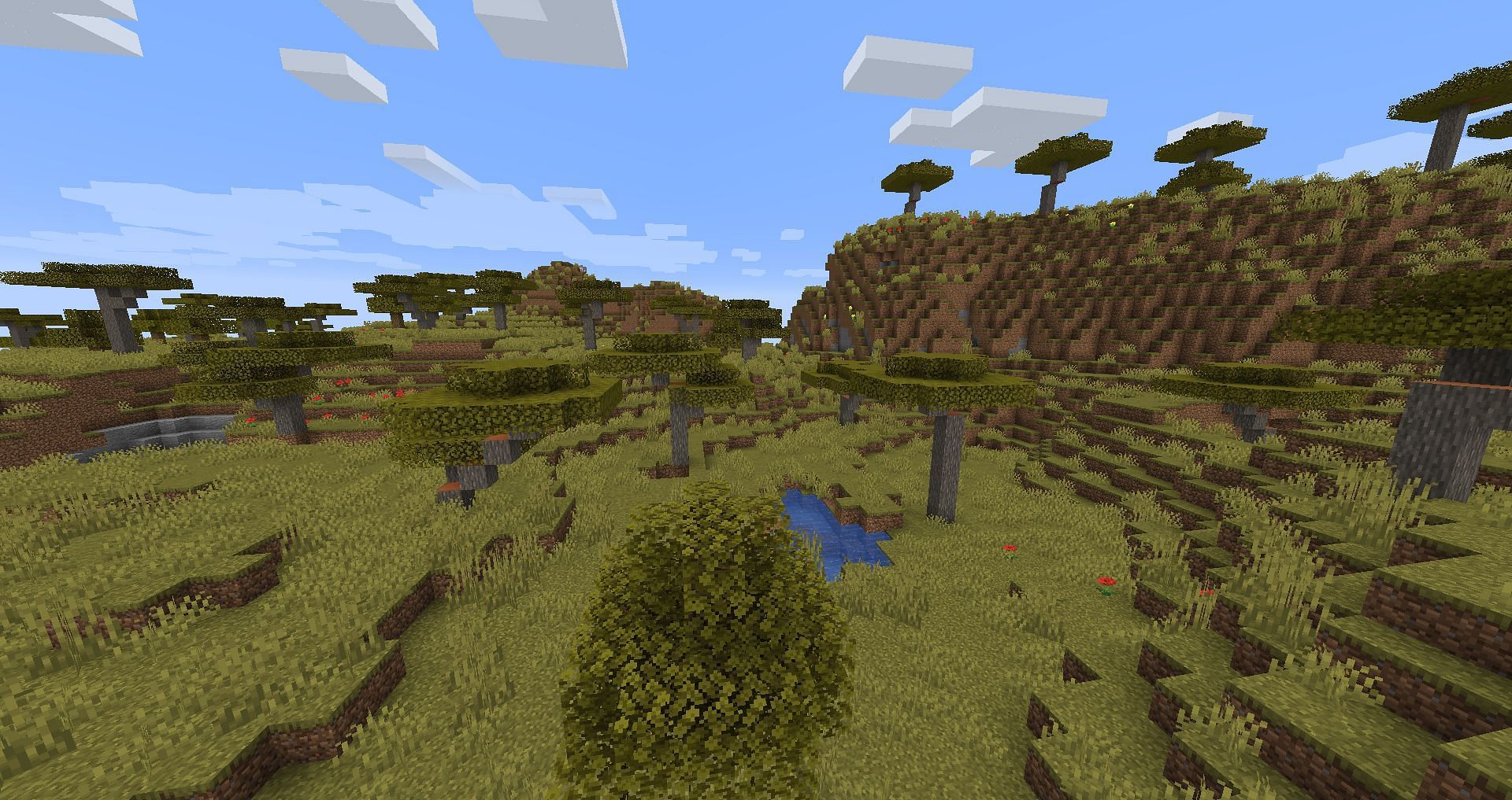 Savanna biomes have Acacia trees in them (Image via Minecraft)