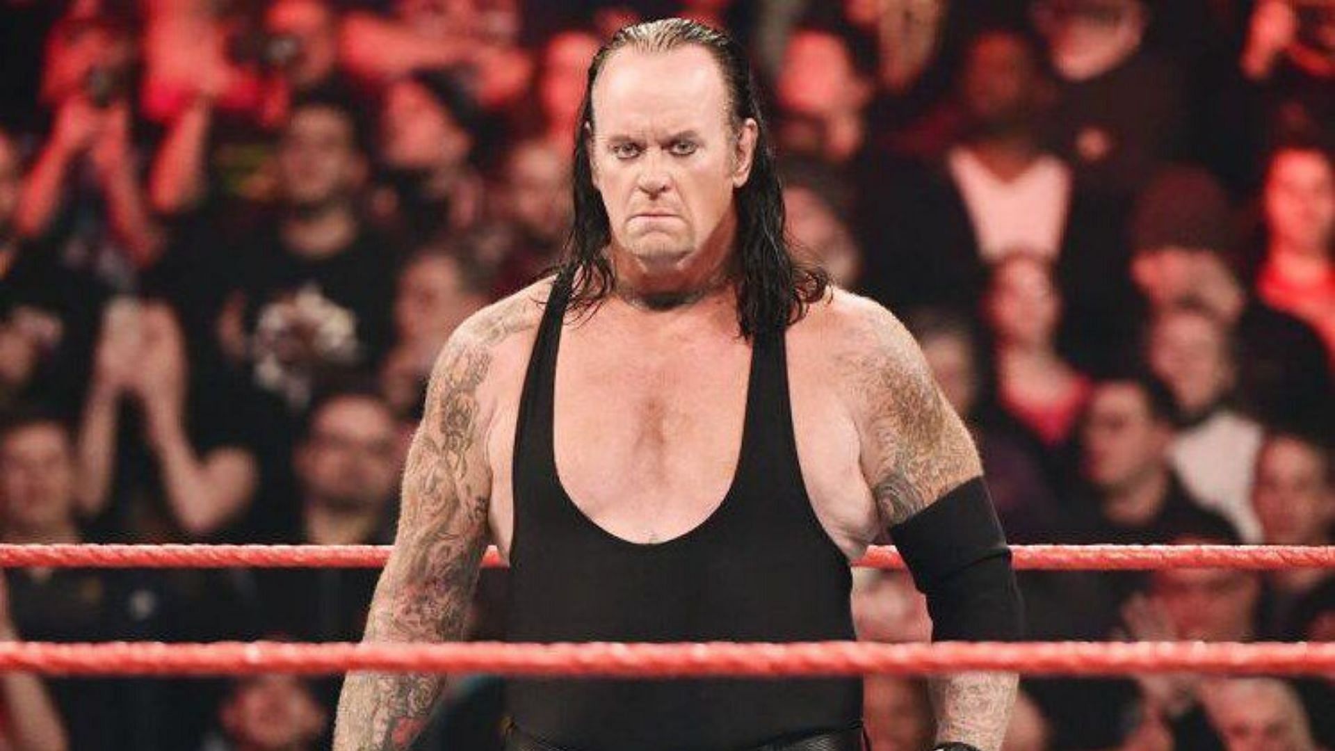 The Undertaker had a massive influence on the careers of his on-screen rivals.