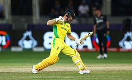 David Warner wins ICC Men's Player of the Month award for November