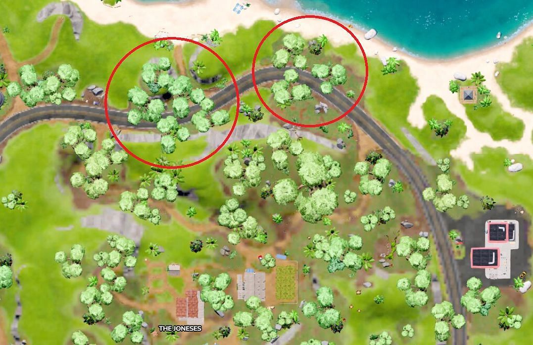 Wonder how so many Jones reach the Flipside? (Image via Fortnite.GG)