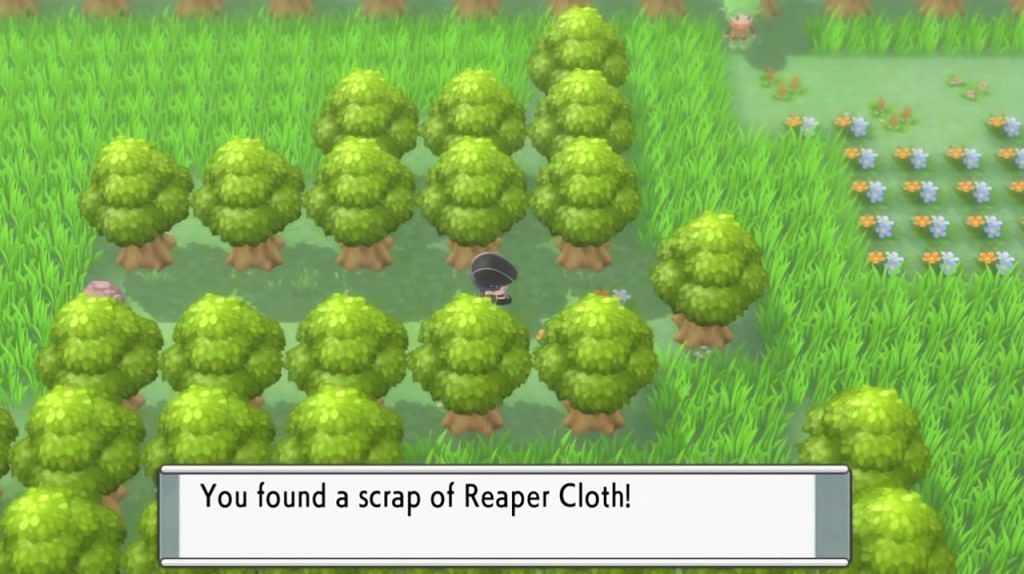 A trainer finding the Reaper Cloth. (Image via ILCA)