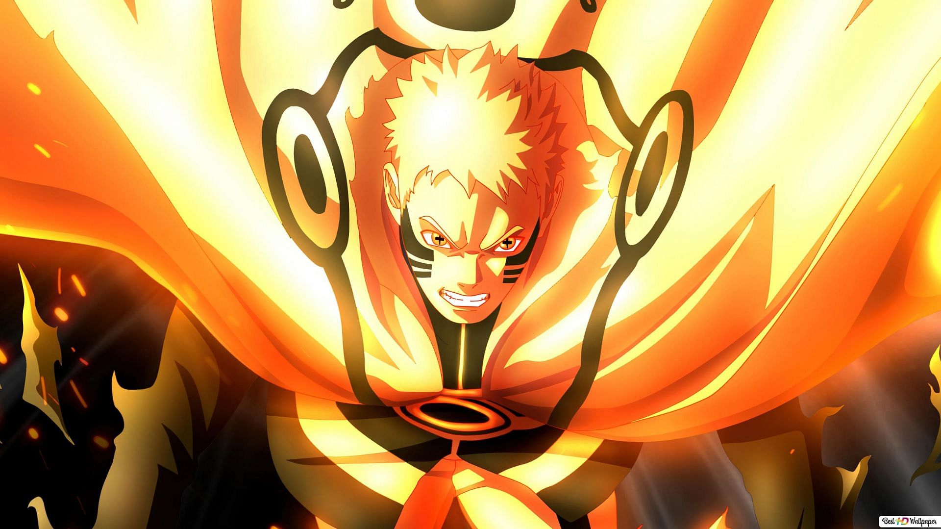 Borushiki icon in 2023