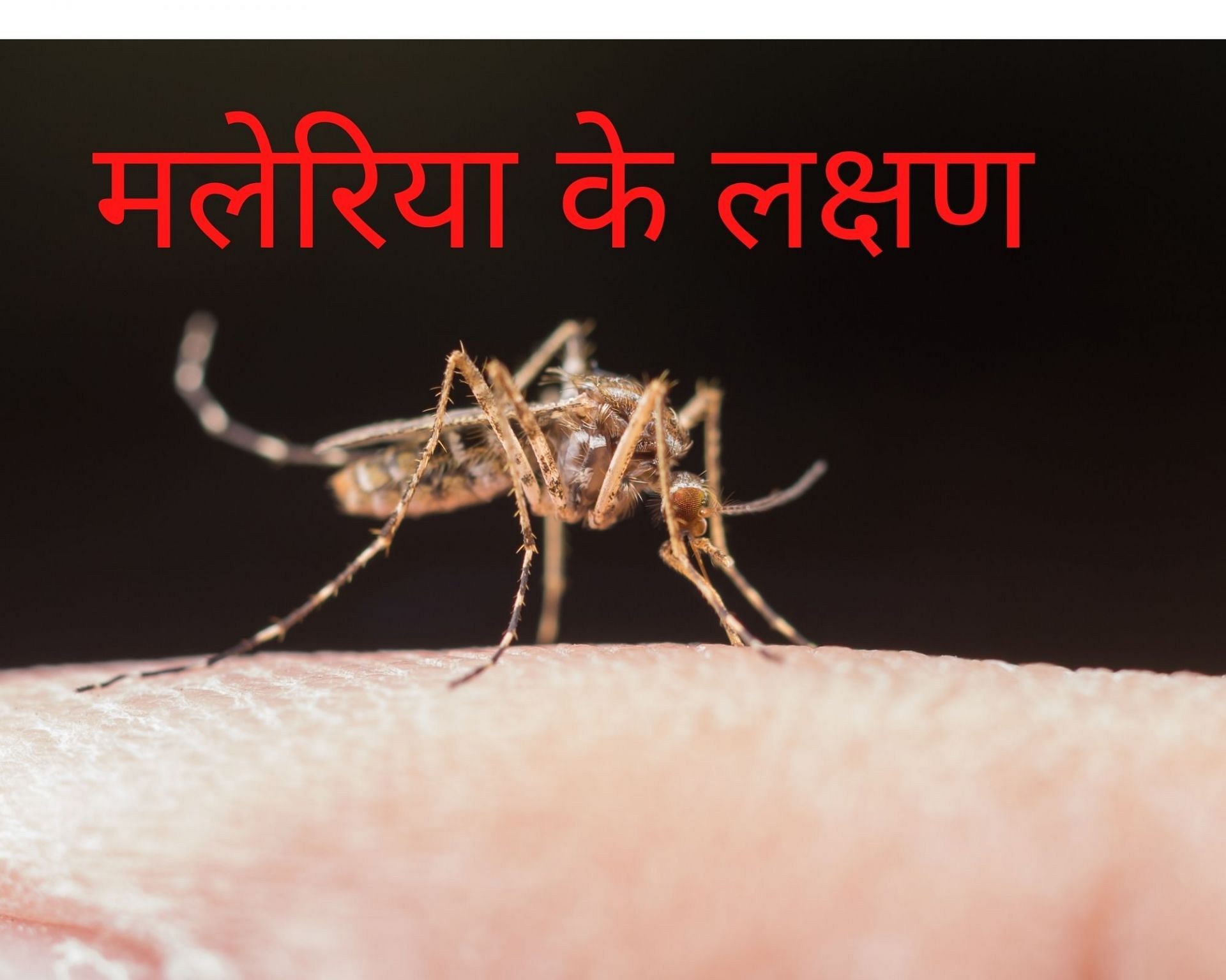 मलेरिया के लक्षण(फोटो:freepik)