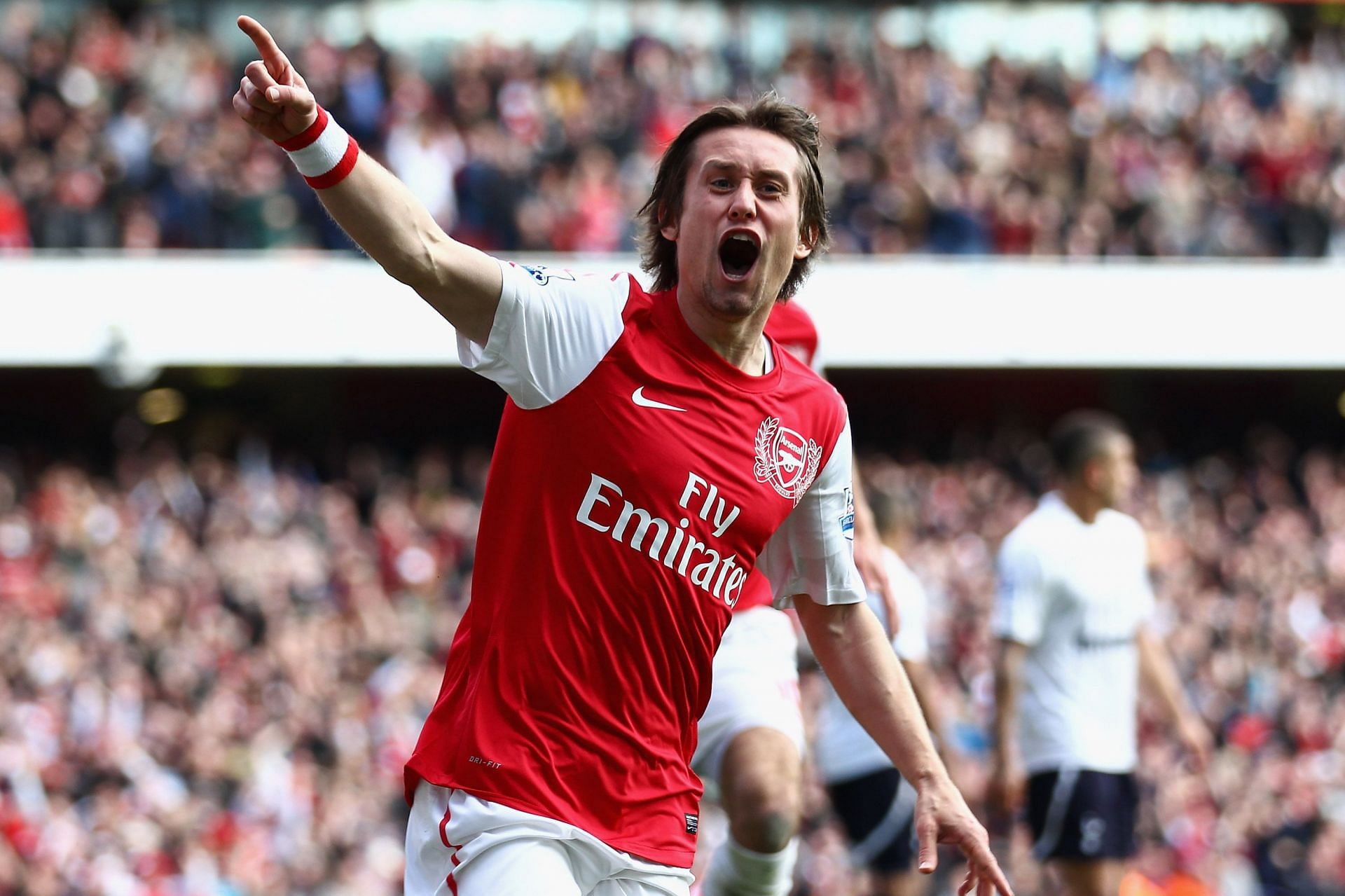Rosicky is ecstatic after scoring a stunning goal against Tottenham Hotspur.
