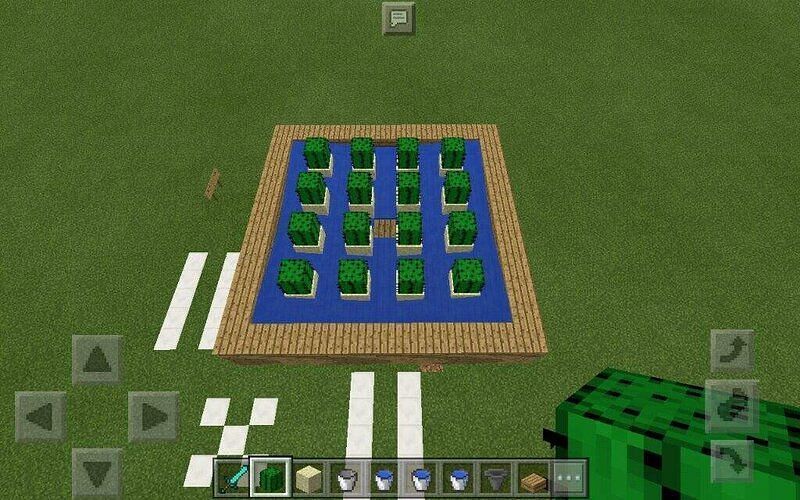 Cactus farms are one of the best XP gaining methods (Image via Minecraft)
