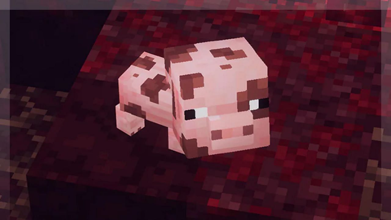 Several new pets and cosmetics are now available during Cloudy Climb such as the spotted pig (Image via Mojang)