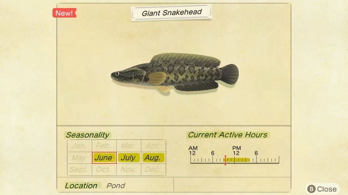 The Giant snakehead will be arriving this month for the Southern Hemisphere (Image via Nintendo)