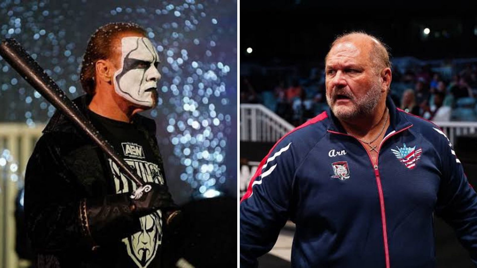 Sting and Arn Anderson in All Elite Wrestling.