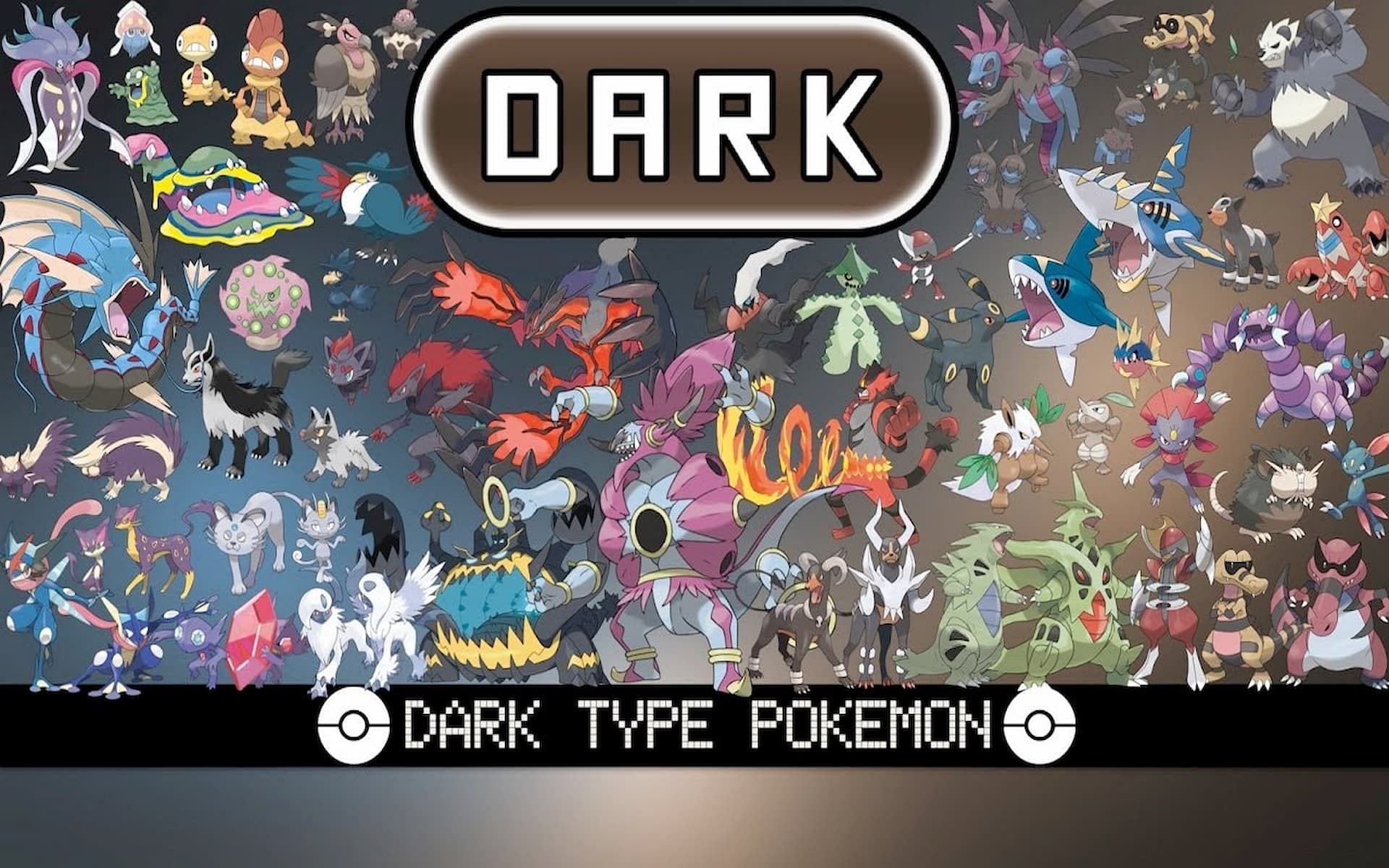 Dark type. Покемон дарк. Мир покемонов. Темные покемоны. Dark Type Pokemon.