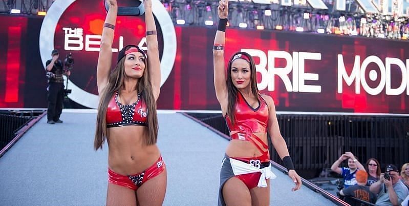 The Bella Twins at WrestleMania 31