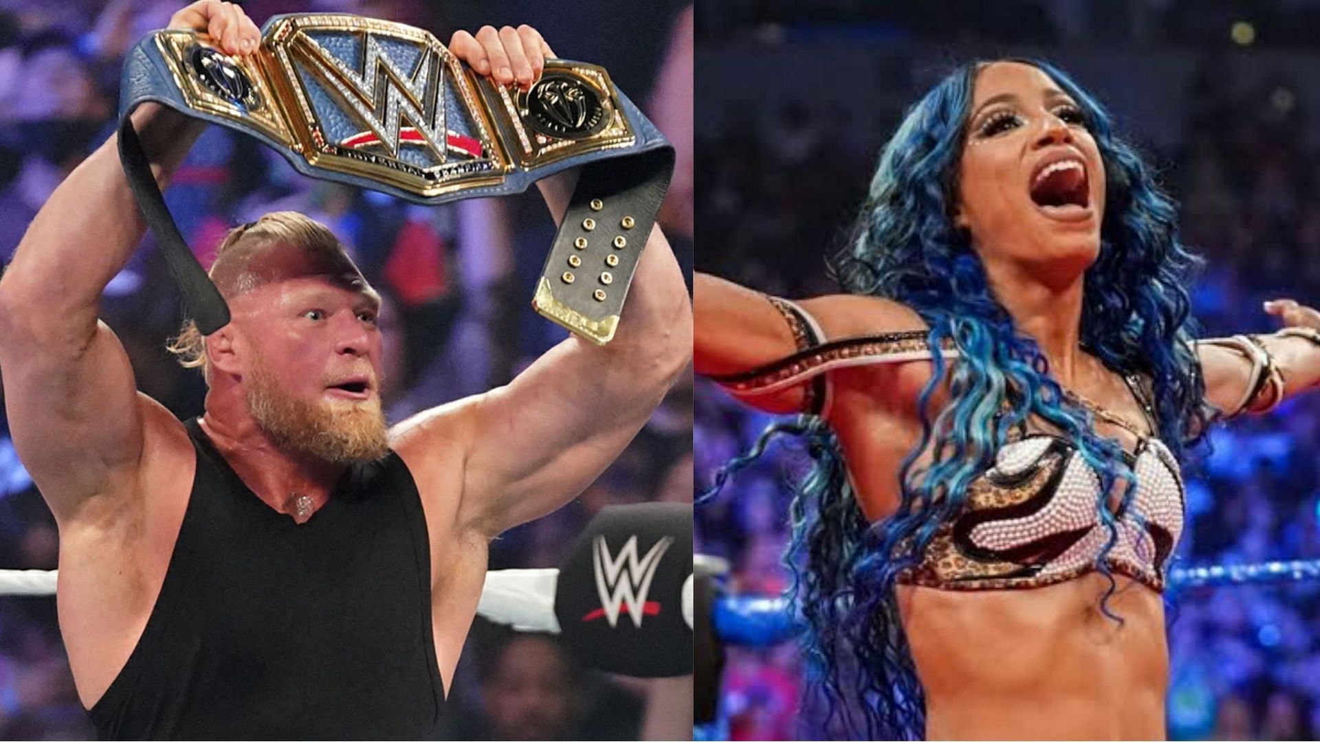 Brock Lesnar and Sasha Banks could have a big year.