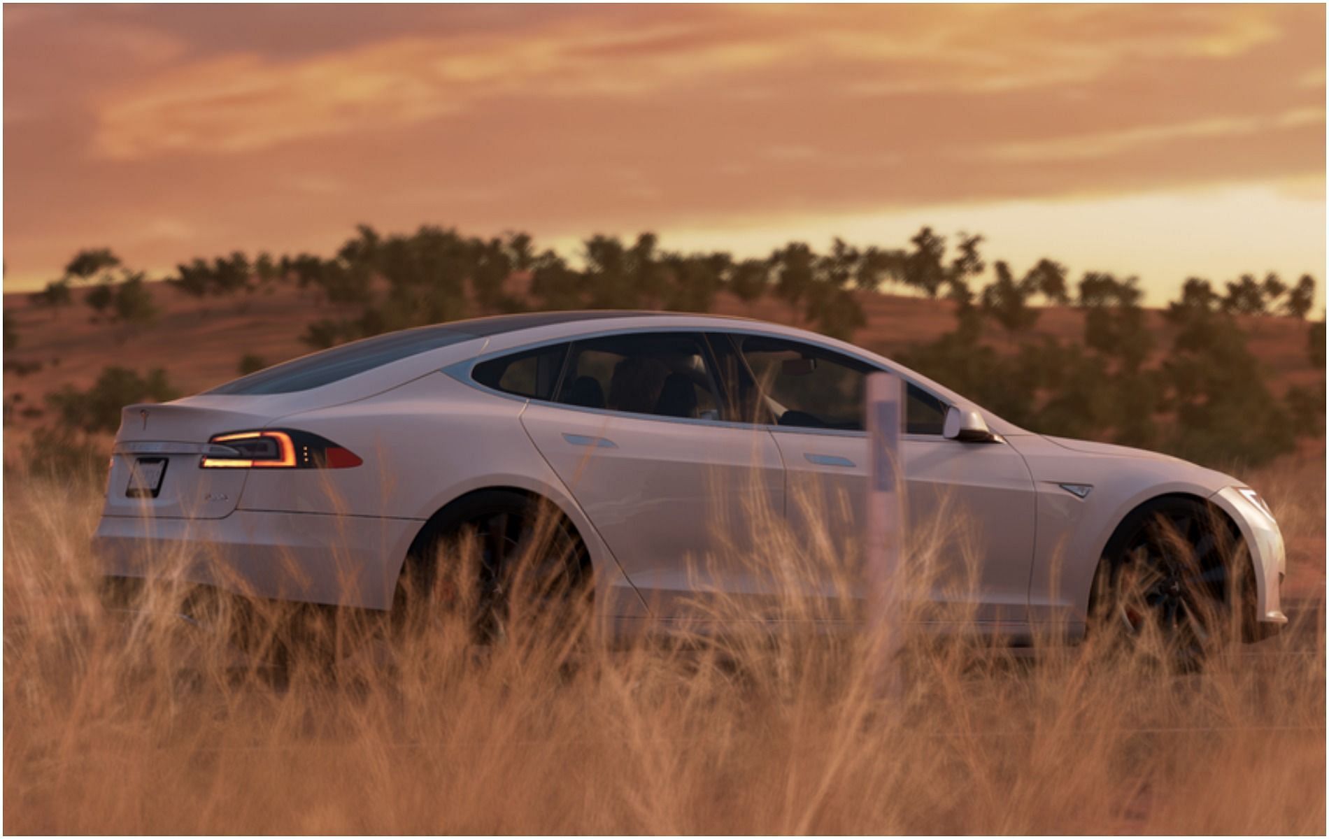 Will cars like Tesla be a part of Forza Horizon 5? (Image via Reddit/fierceninja87)
