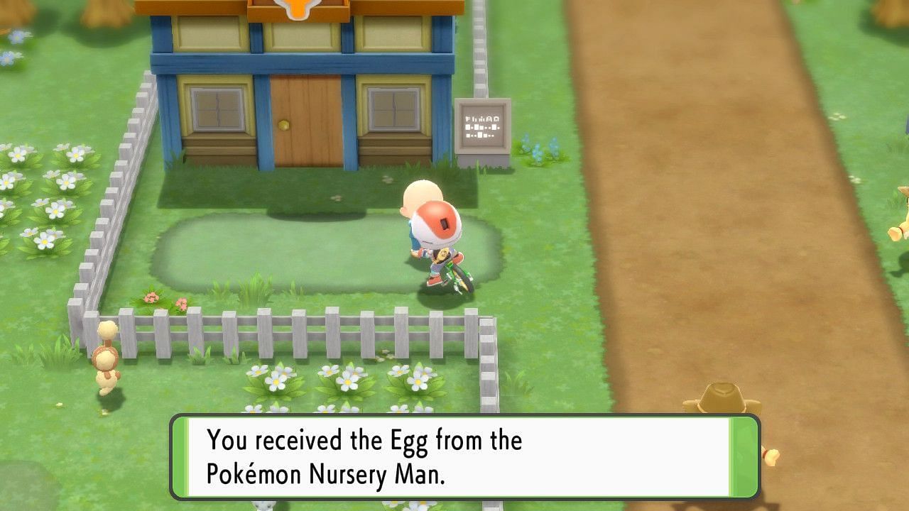 The Pokemon Nursery (Image via ILCA)
