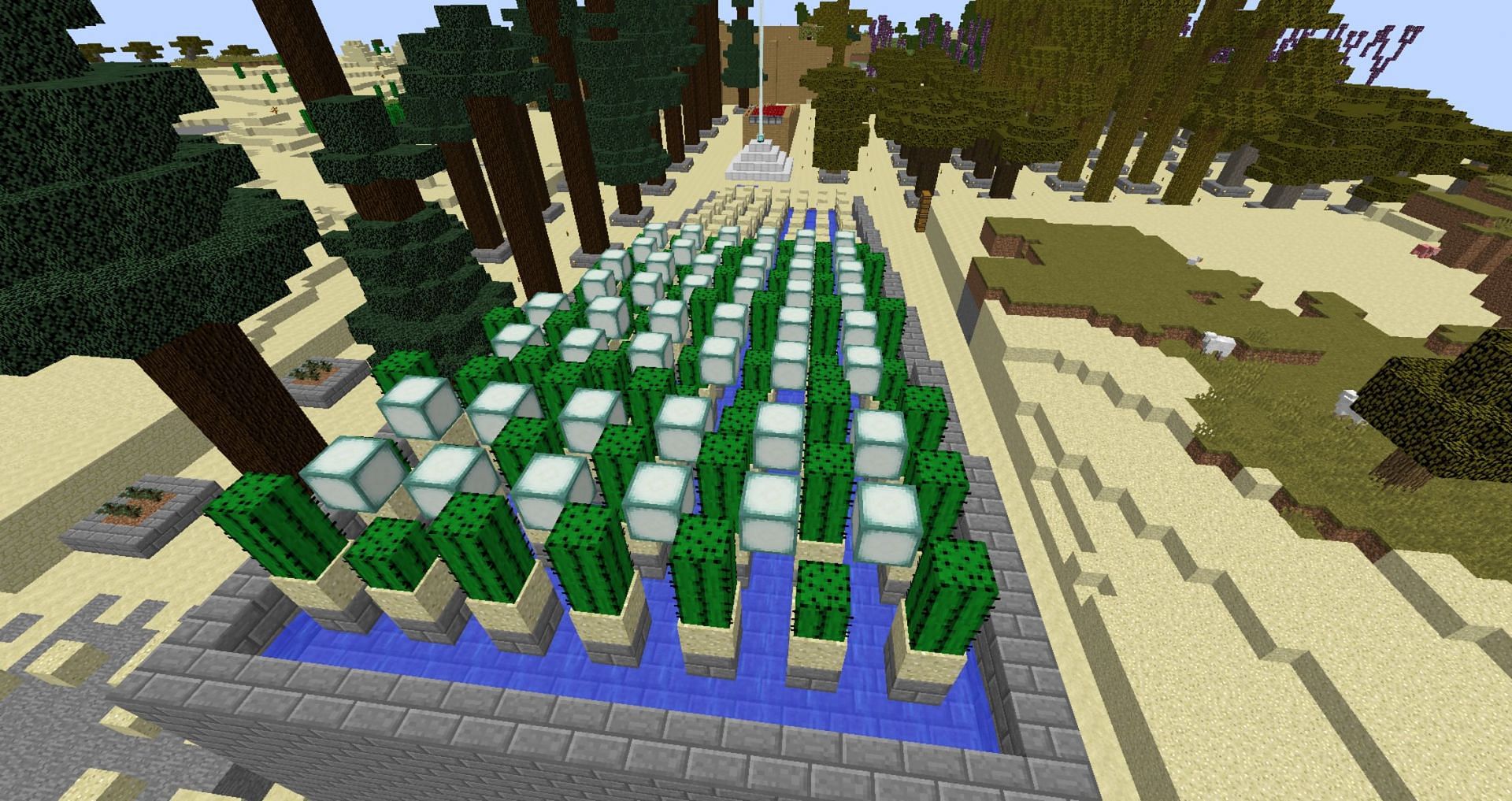 Cactus is a fairly simple plant to grow in Minecraft (Image via Mojang)