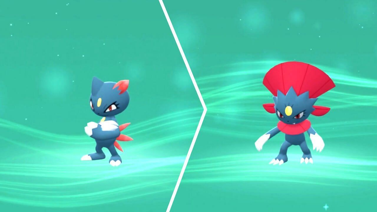 Sneasel and Weavile in BDSP. (Image via ILCA)