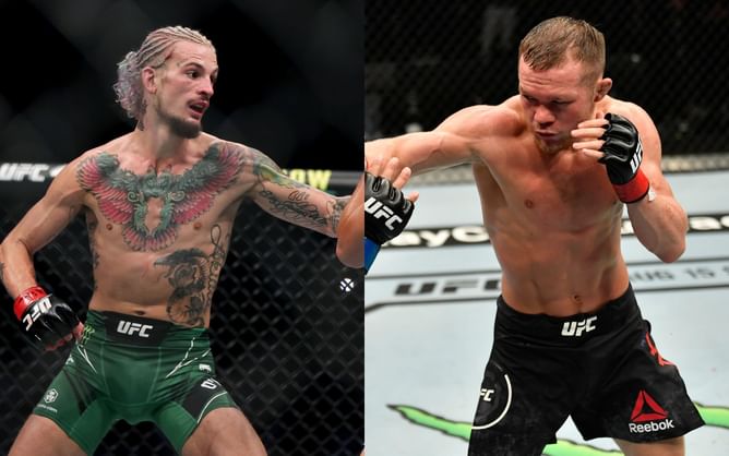 "We all know what kind of animal" - Petr Yan reacts to Sean O'Malley remarking that he is the only person who can defeat 'No Mercy' because he is "a different animal"