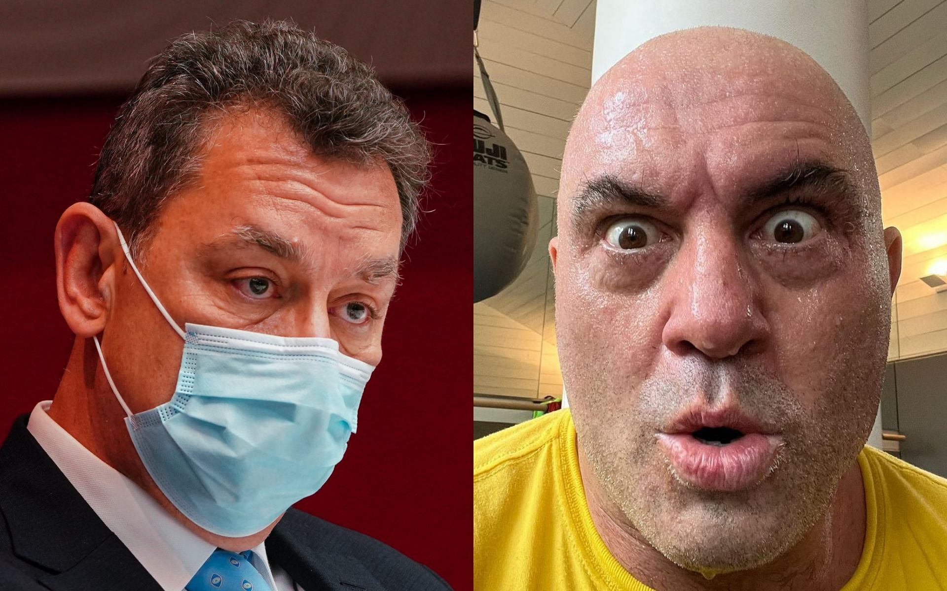 Albert Bourla (L) via Twitter @TelGlobalHealth and Joe Rogan via Instagram @joerogan