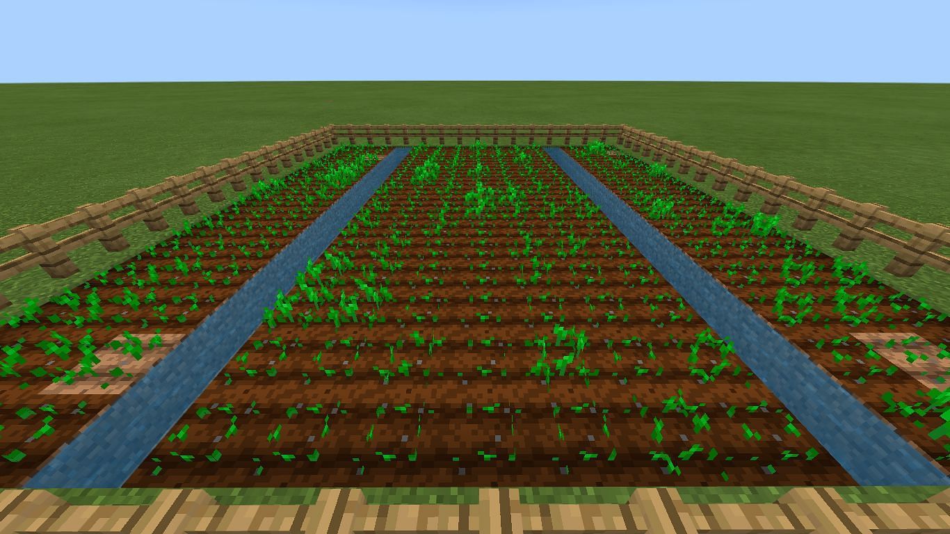 Crops are useful to farm (Image via Minecraft)