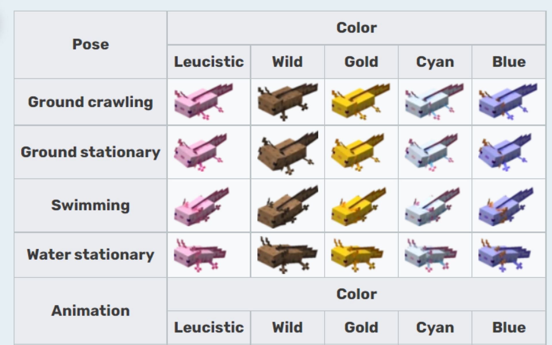 Different colored Axolotls (Image via Minecraft Wiki)