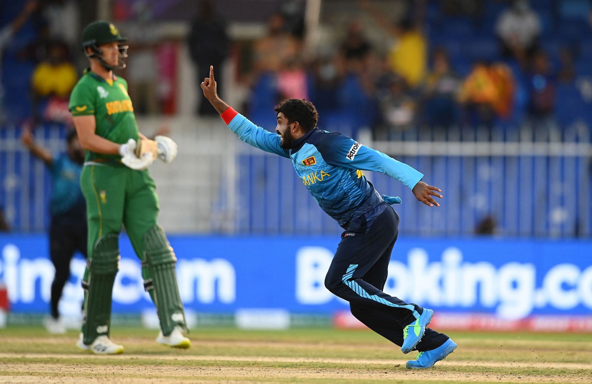 Wanindu Hasaranga celebrates a wicket against South Africa. Pic: Getty Images