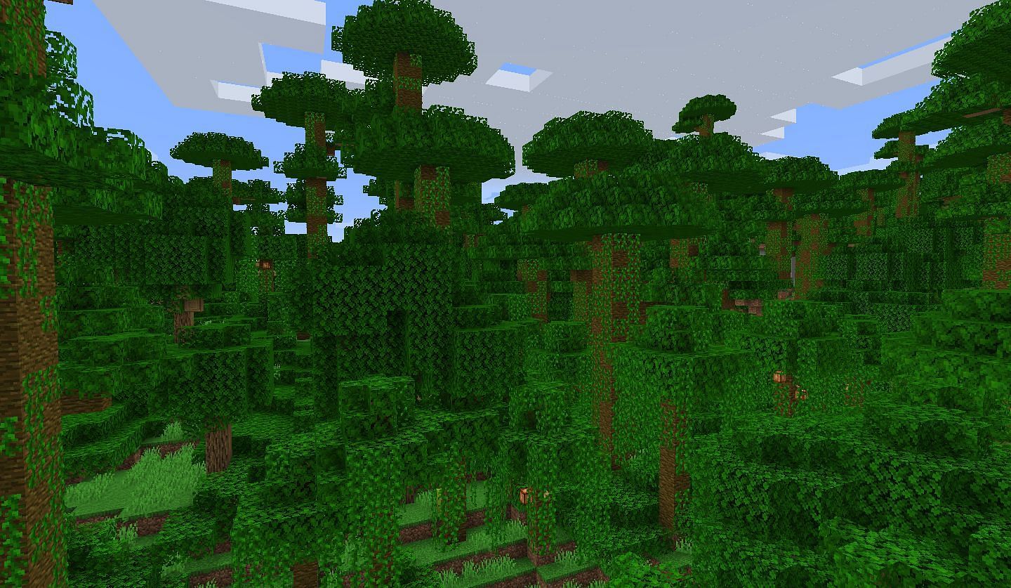 The Jungle is one of the most dense biomes in Minecraft (Image via Minecraft)