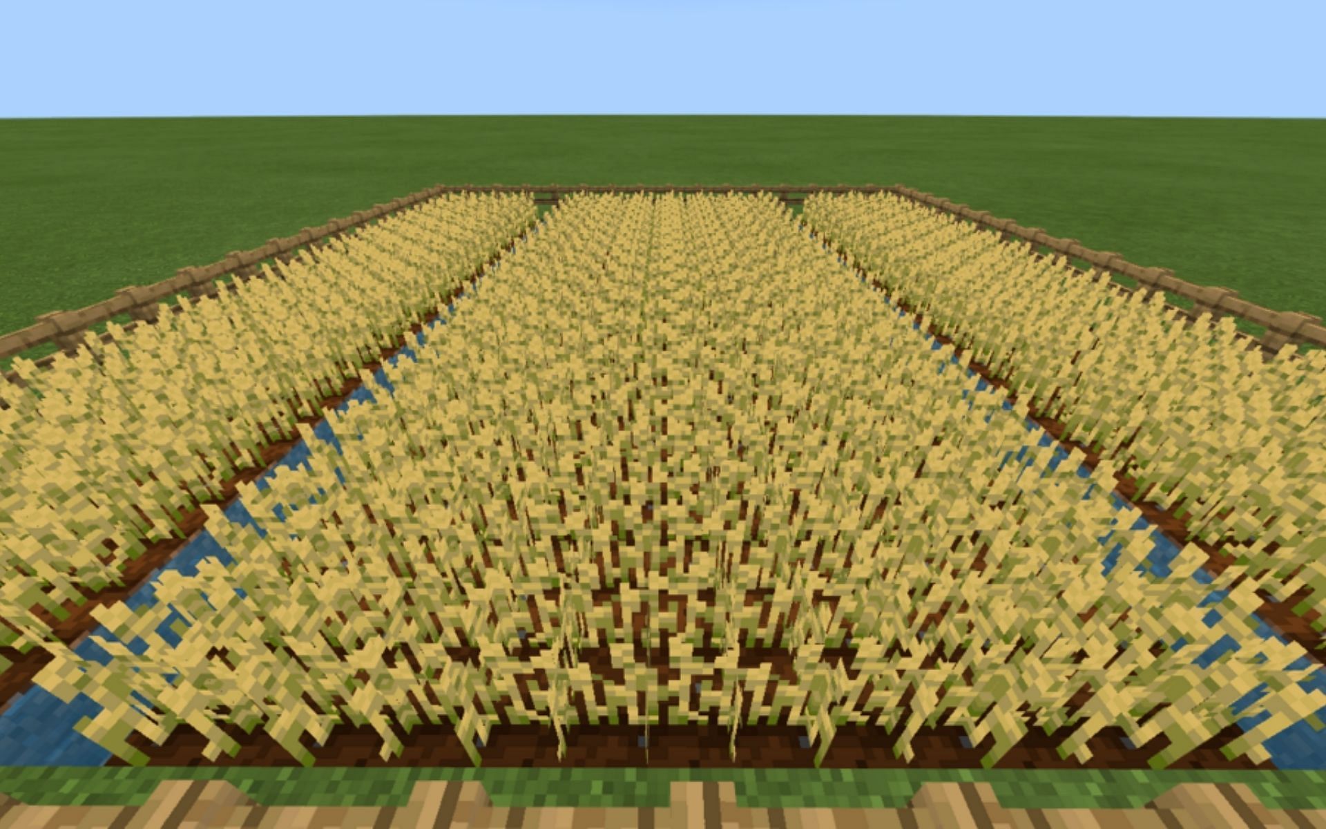 Wheat Farm in Minecraft (Image via Minecraft Wiki)